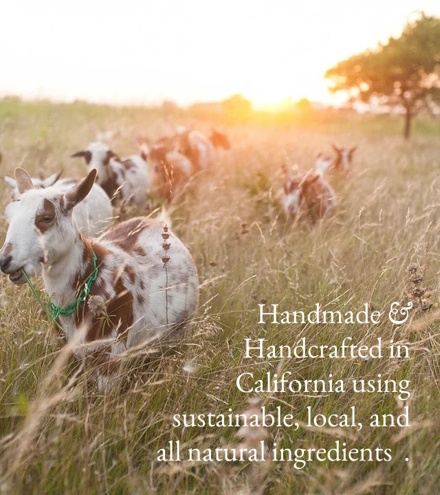 Apricot & Freesia Goat Milk Hand & Body Lotion